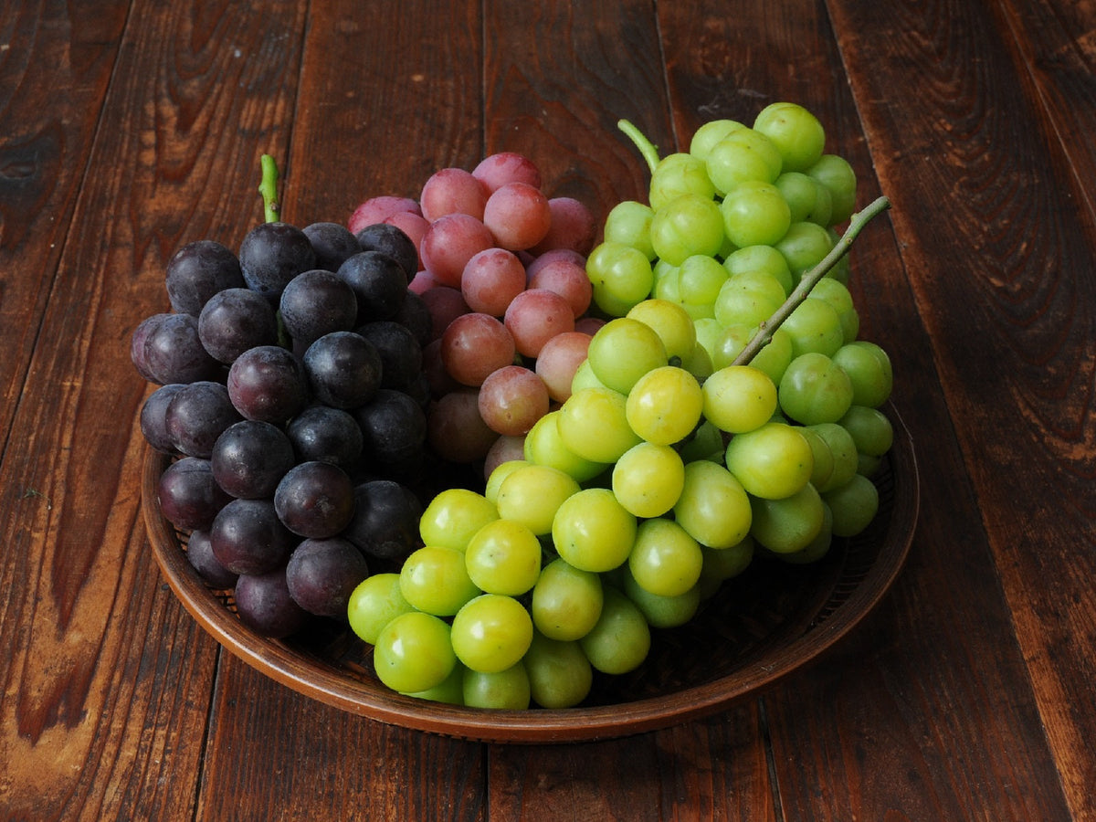 お知らせ – 大塚ぶどう園
